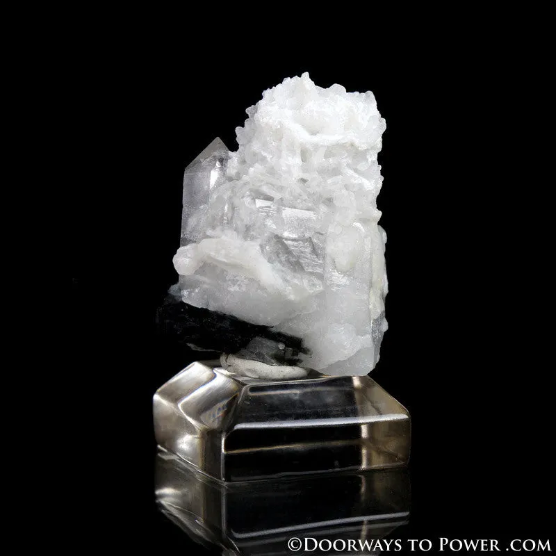 Black Tourmaline & Quartz Generator Point Specimen A   