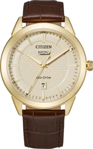 Citizen Rolan Watch